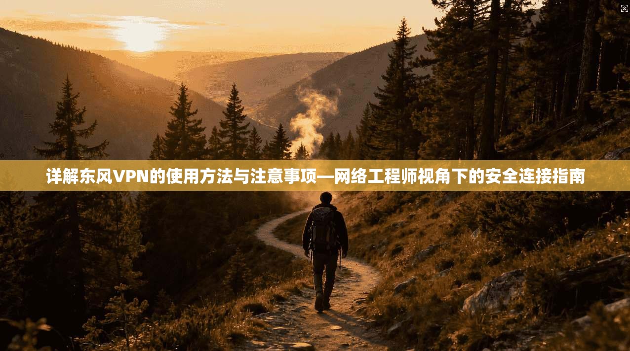 详解东风VPN的使用方法与注意事项—网络工程师视角下的安全连接指南