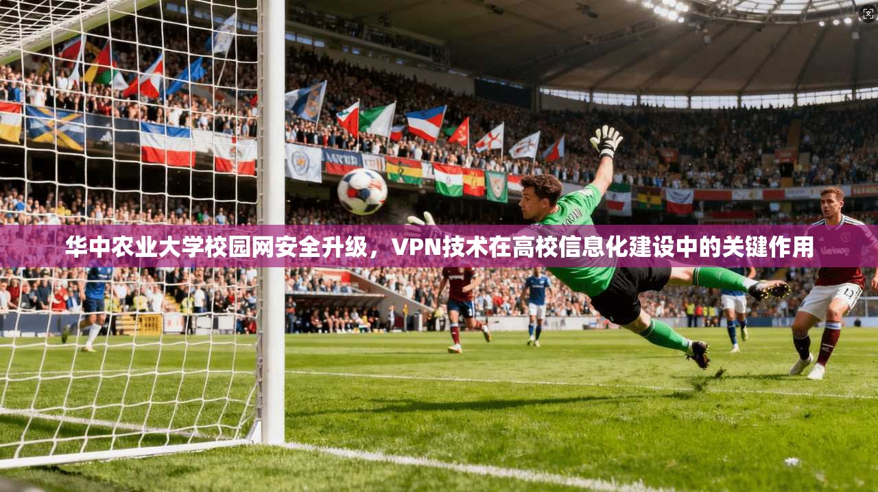 华中农业大学校园网安全升级，VPN技术在高校信息化建设中的关键作用