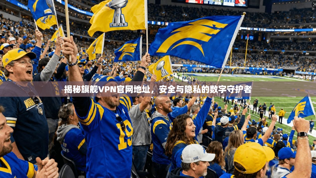 揭秘旗舰VPN官网地址，安全与隐私的数字守护者