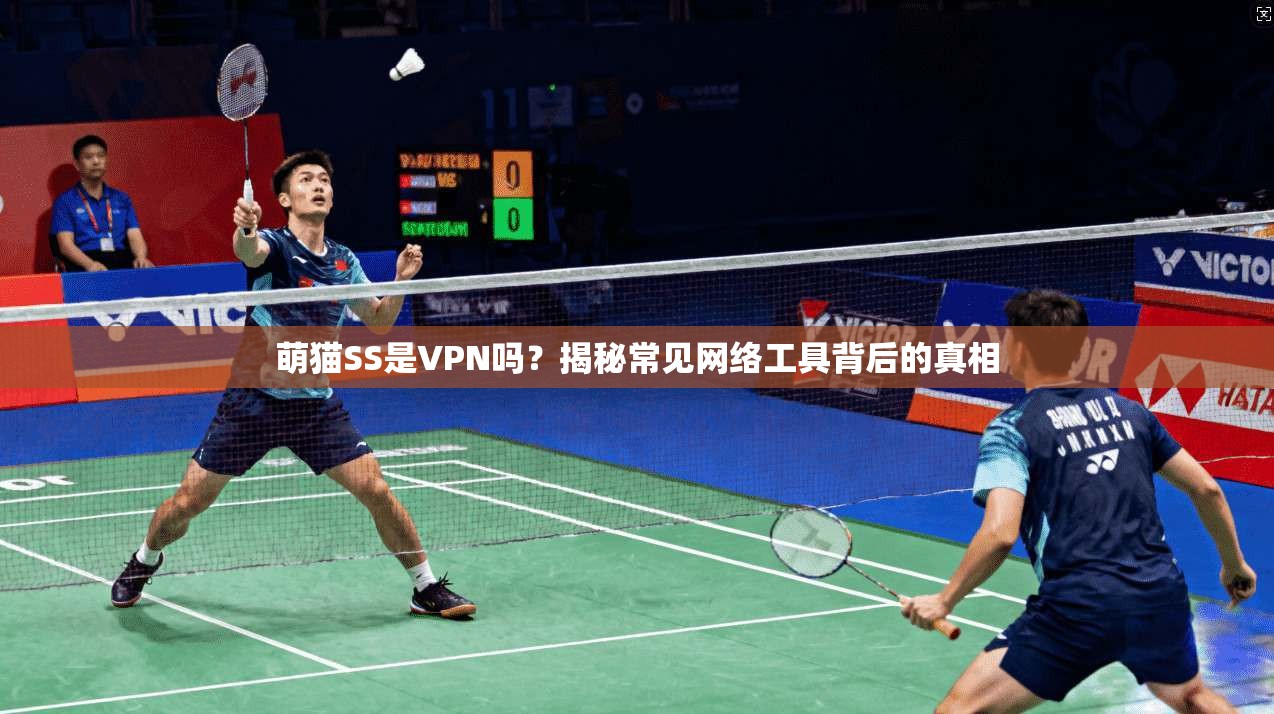 萌猫SS是VPN吗？揭秘常见网络工具背后的真相