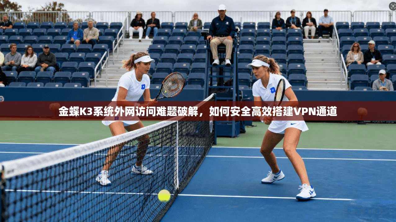 金蝶K3系统外网访问难题破解，如何安全高效搭建VPN通道