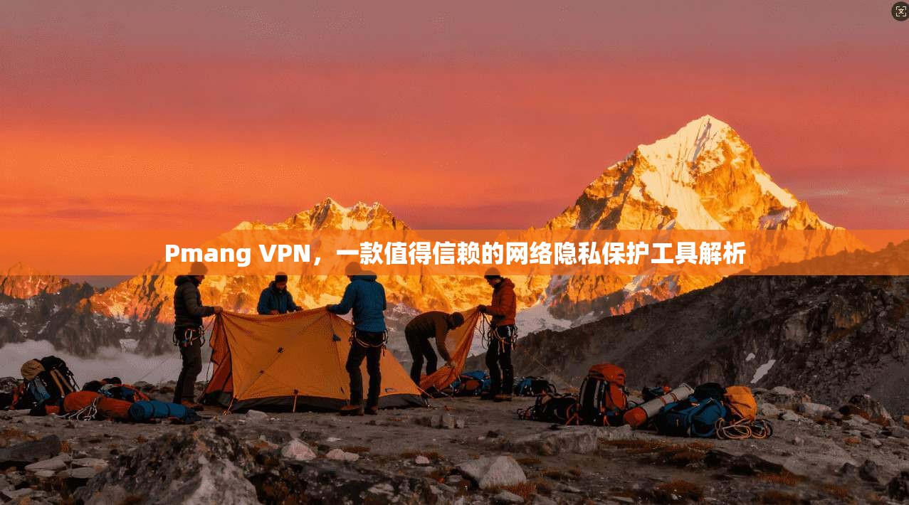 Pmang VPN，一款值得信赖的网络隐私保护工具解析