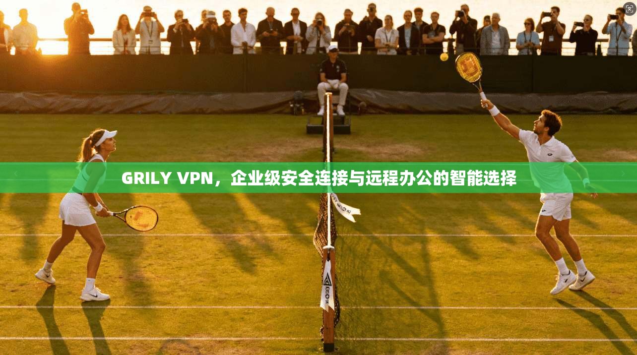 GRILY VPN，企业级安全连接与远程办公的智能选择