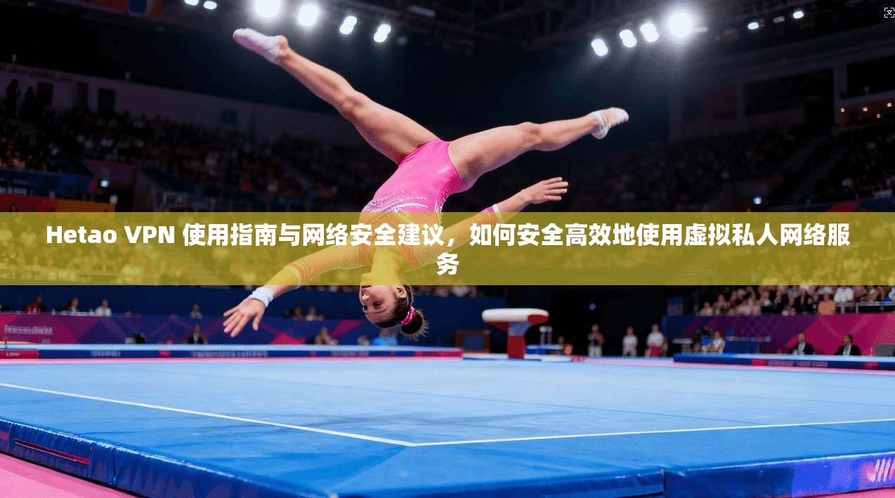 Hetao VPN 使用指南与网络安全建议，如何安全高效地使用虚拟私人网络服务
