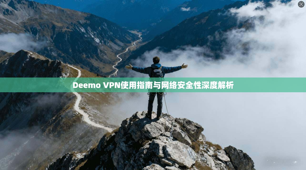 Deemo VPN使用指南与网络安全性深度解析