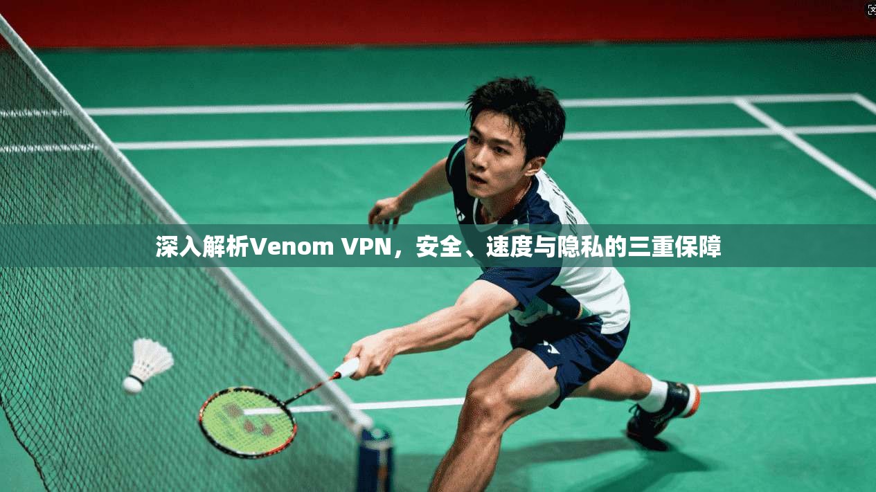 深入解析Venom VPN，安全、速度与隐私的三重保障