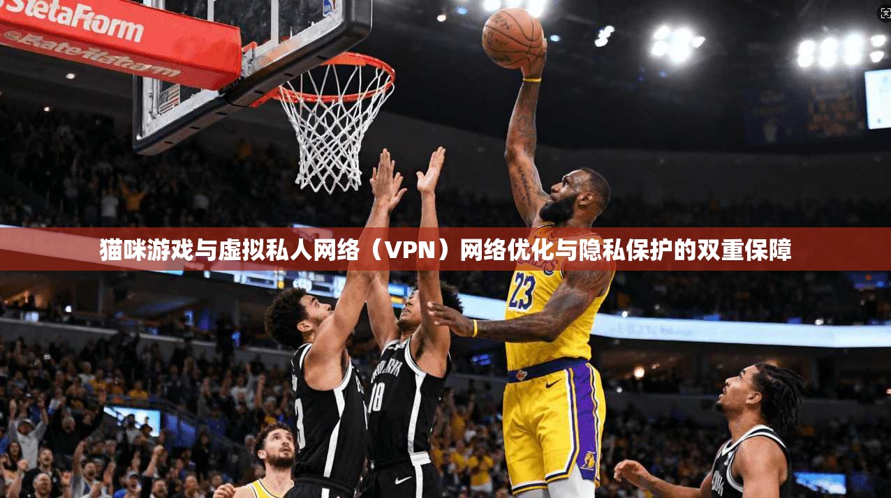 猫咪游戏与虚拟私人网络（VPN）网络优化与隐私保护的双重保障