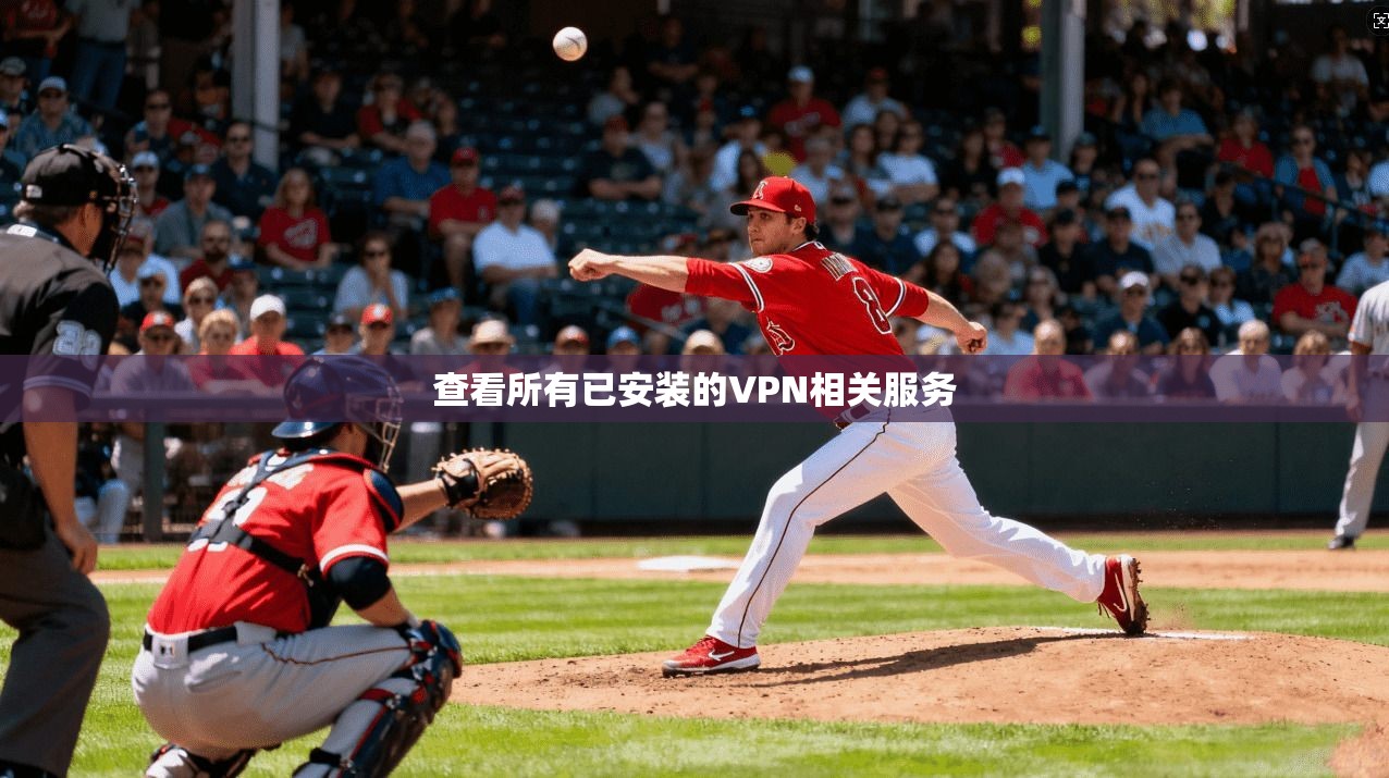 查看所有已安装的VPN相关服务