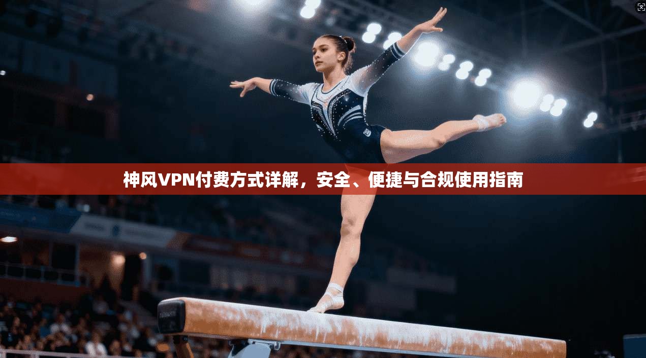 神风VPN付费方式详解，安全、便捷与合规使用指南