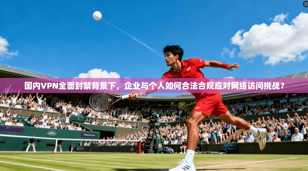 国内VPN全面封禁背景下，企业与个人如何合法合规应对网络访问挑战？