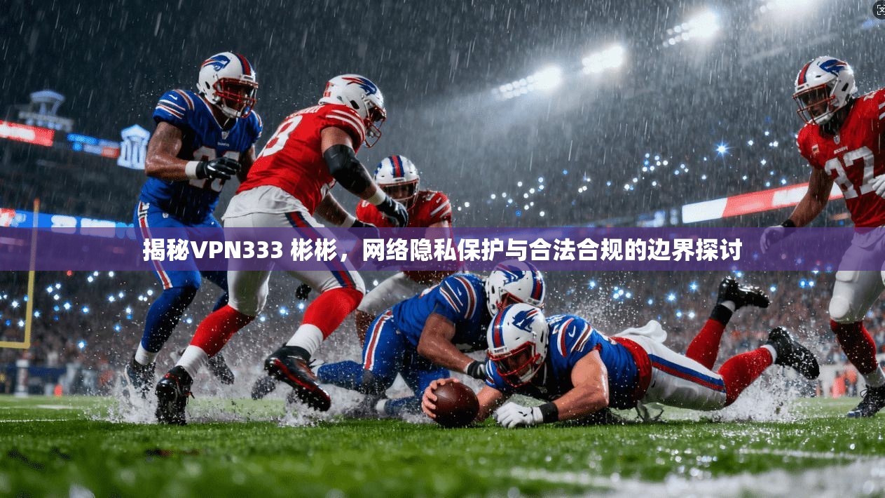 揭秘VPN333 彬彬，网络隐私保护与合法合规的边界探讨