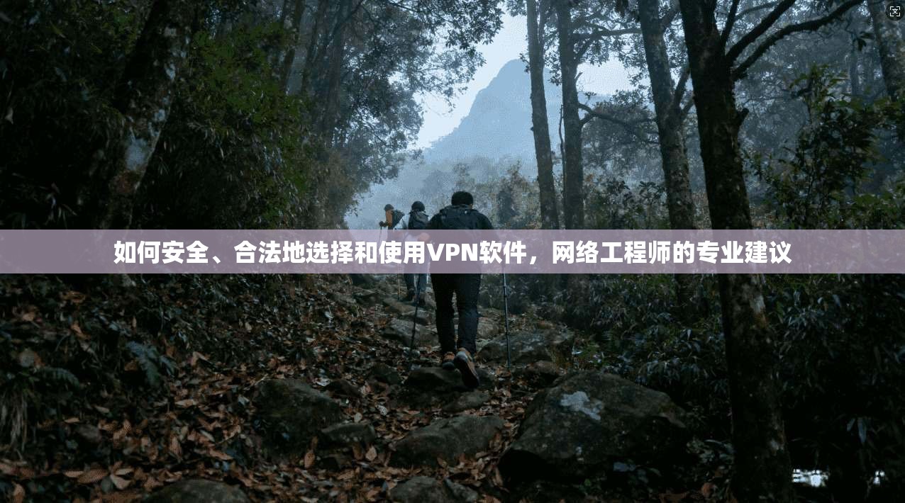如何安全、合法地选择和使用VPN软件，网络工程师的专业建议