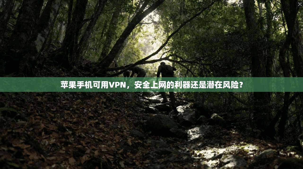 苹果手机可用VPN，安全上网的利器还是潜在风险？