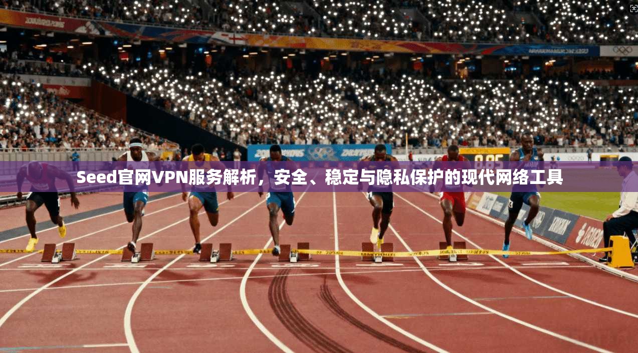 Seed官网VPN服务解析，安全、稳定与隐私保护的现代网络工具