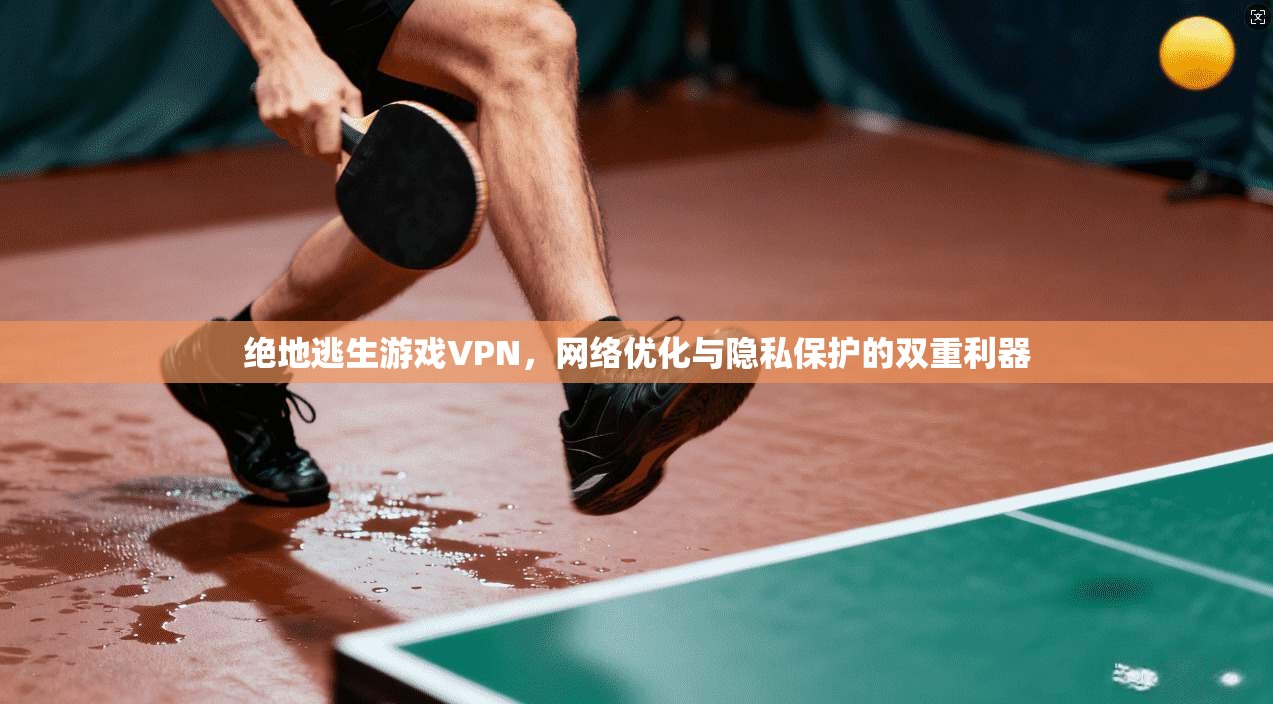 绝地逃生游戏VPN，网络优化与隐私保护的双重利器