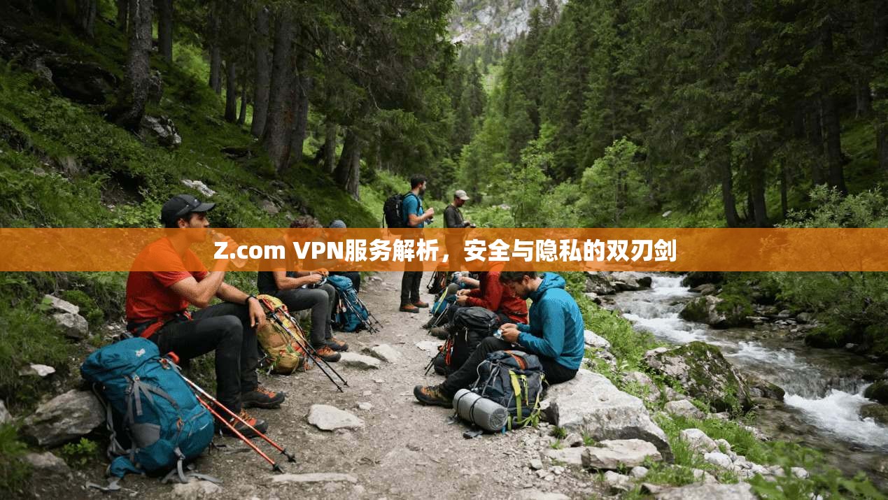 Z.com VPN服务解析，安全与隐私的双刃剑