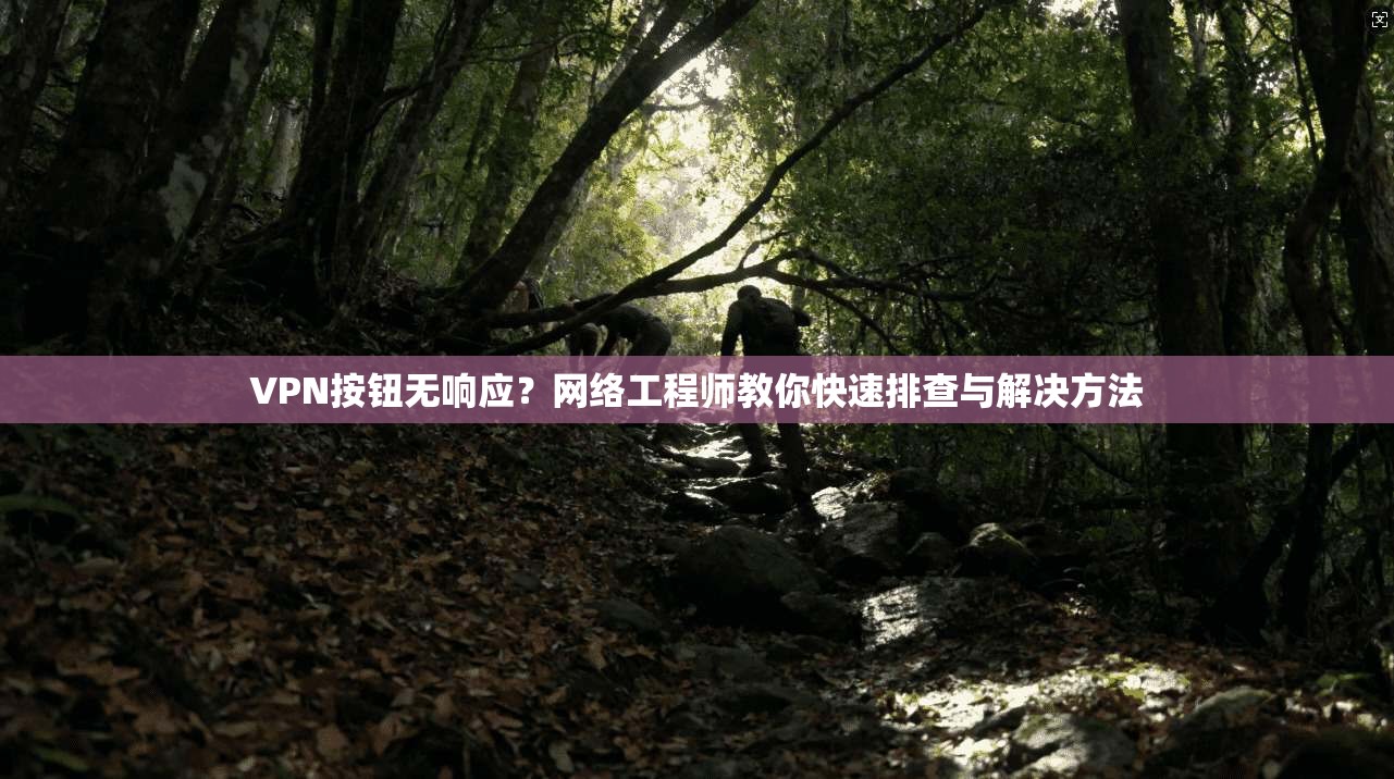 VPN按钮无响应？网络工程师教你快速排查与解决方法