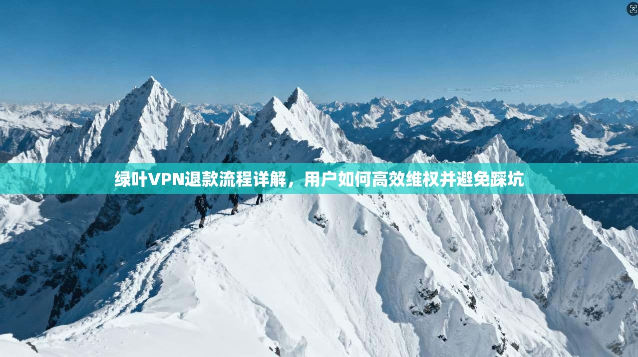 绿叶VPN退款流程详解，用户如何高效维权并避免踩坑