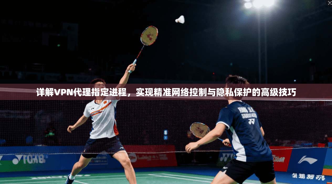 详解VPN代理指定进程，实现精准网络控制与隐私保护的高级技巧
