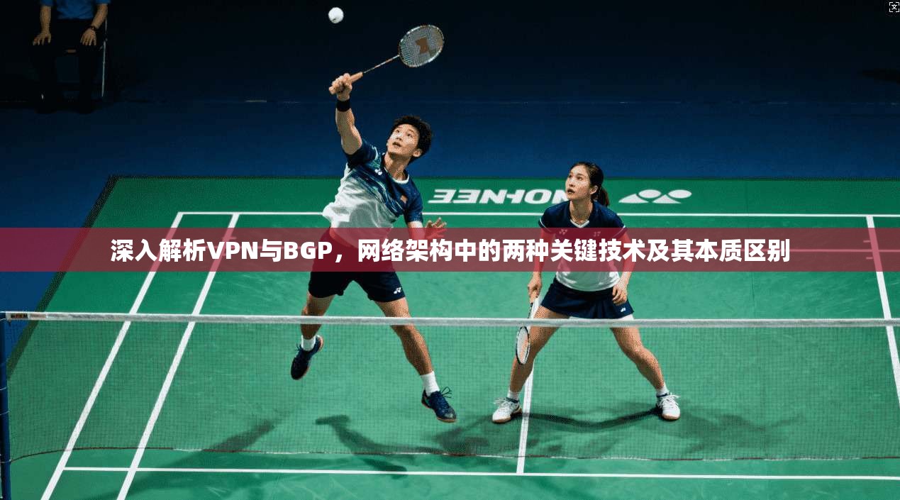深入解析VPN与BGP，网络架构中的两种关键技术及其本质区别