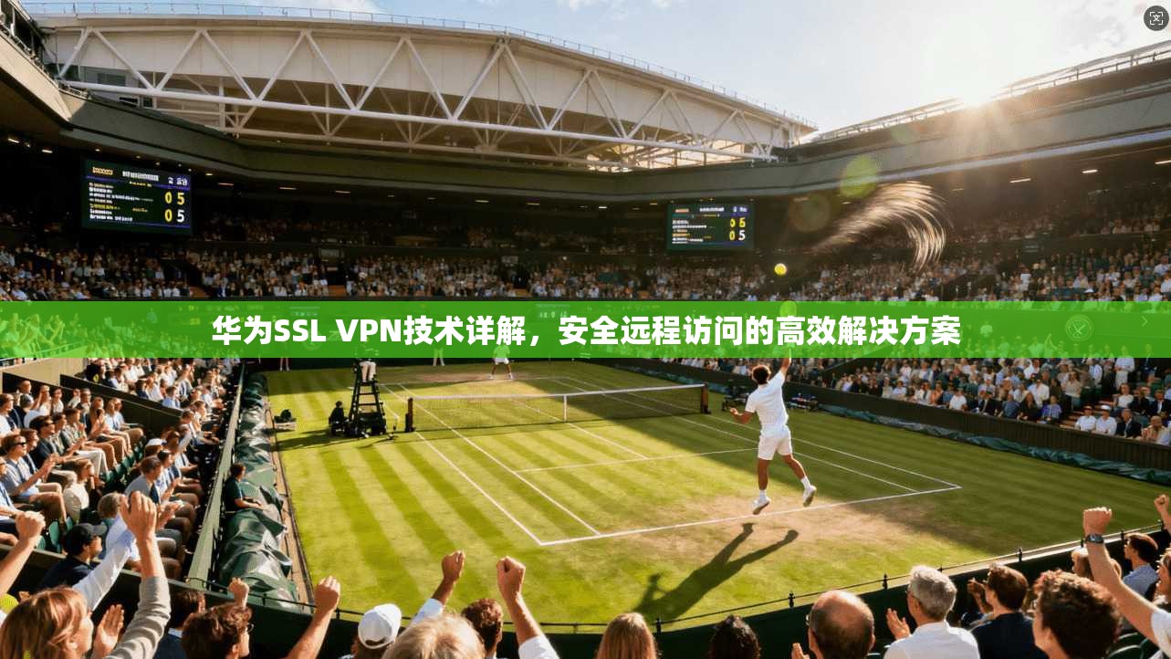 华为SSL VPN技术详解，安全远程访问的高效解决方案