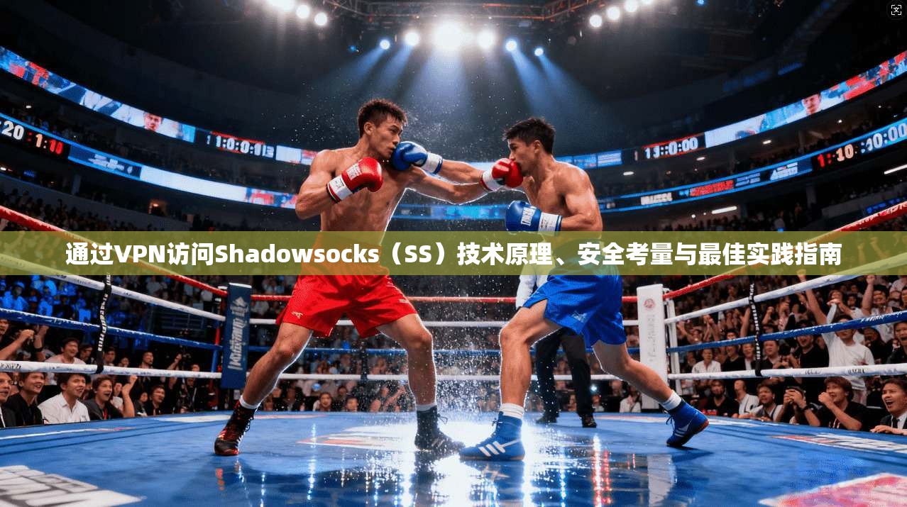 通过VPN访问Shadowsocks（SS）技术原理、安全考量与最佳实践指南