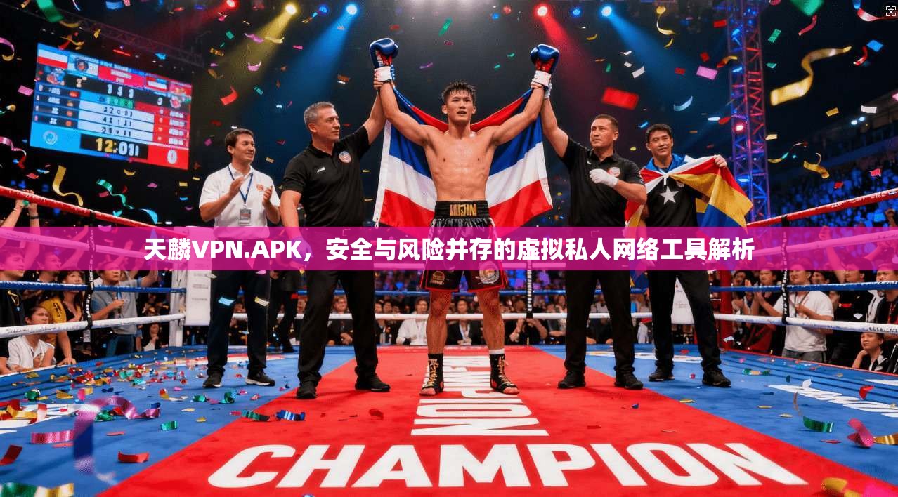 天麟VPN.APK，安全与风险并存的虚拟私人网络工具解析