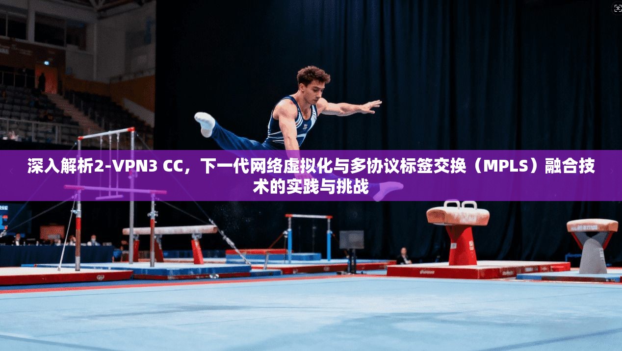 深入解析2-VPN3 CC，下一代网络虚拟化与多协议标签交换（MPLS）融合技术的实践与挑战