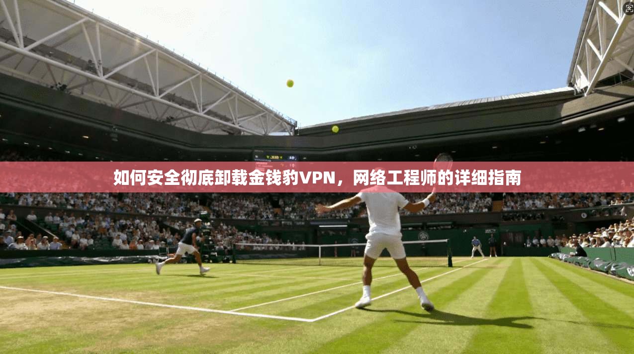 如何安全彻底卸载金钱豹VPN，网络工程师的详细指南