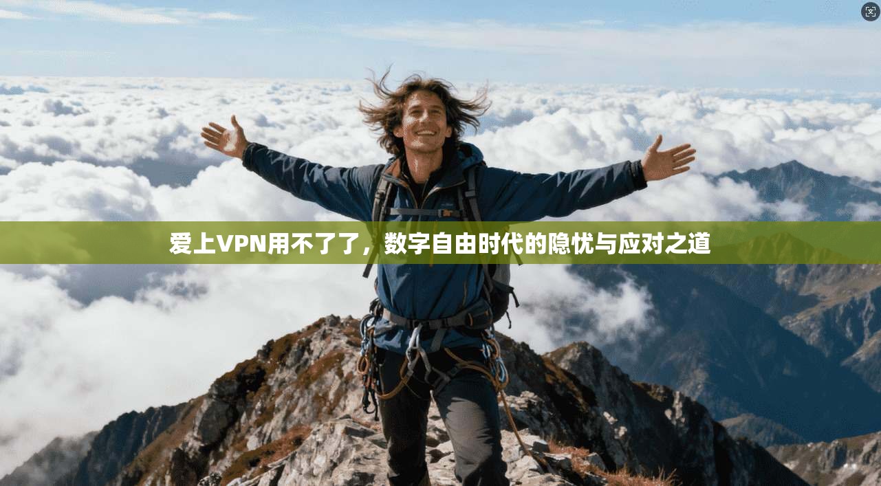爱上VPN用不了了，数字自由时代的隐忧与应对之道