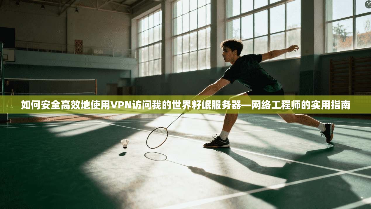 如何安全高效地使用VPN访问我的世界籽岷服务器—网络工程师的实用指南