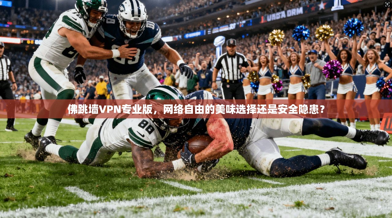 佛跳墙VPN专业版，网络自由的美味选择还是安全隐患？