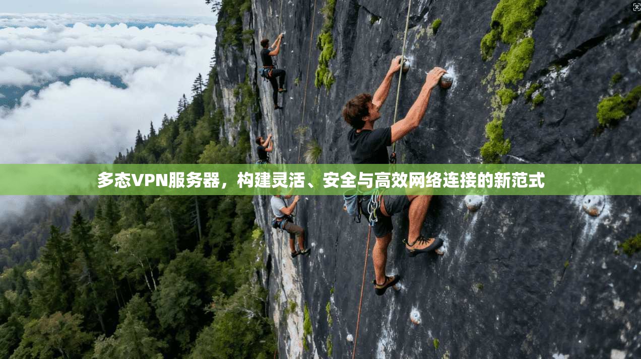 多态VPN服务器，构建灵活、安全与高效网络连接的新范式