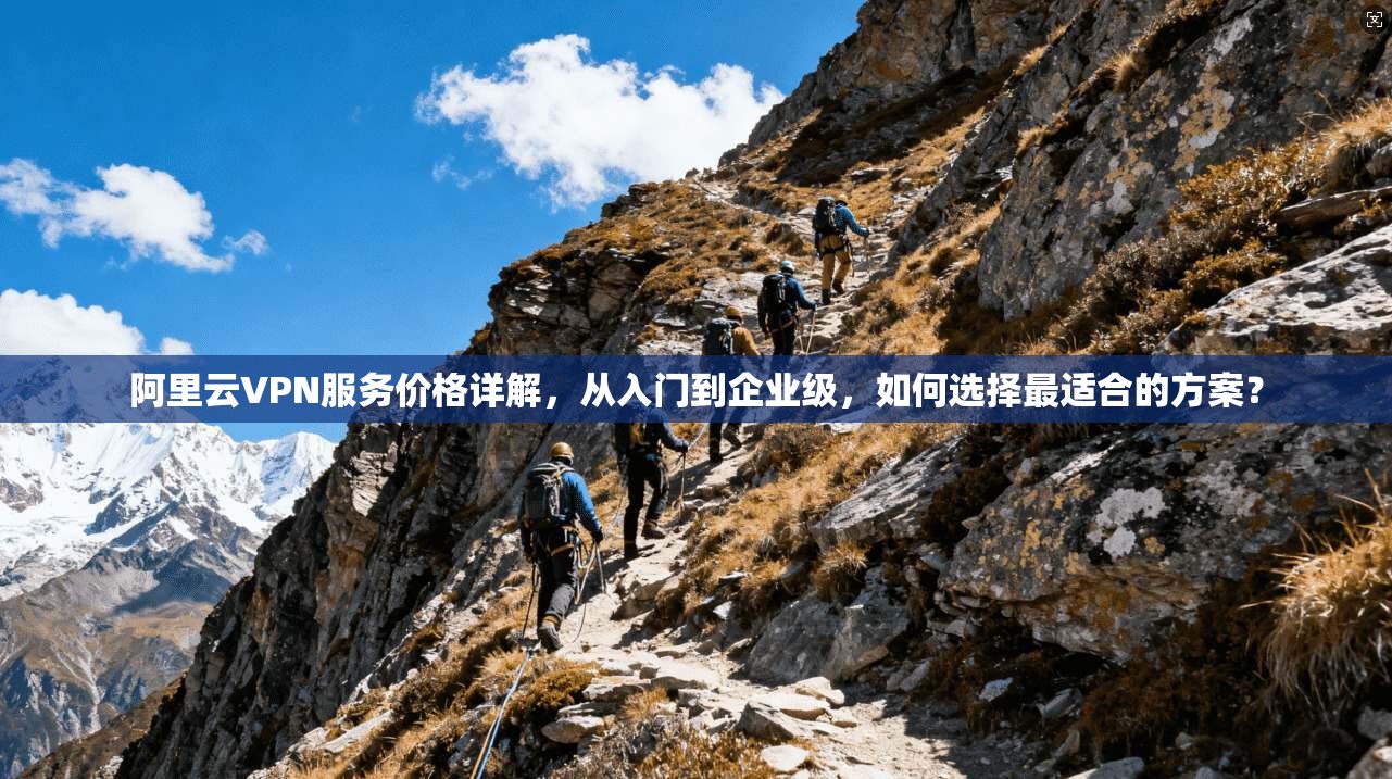 阿里云VPN服务价格详解，从入门到企业级，如何选择最适合的方案？