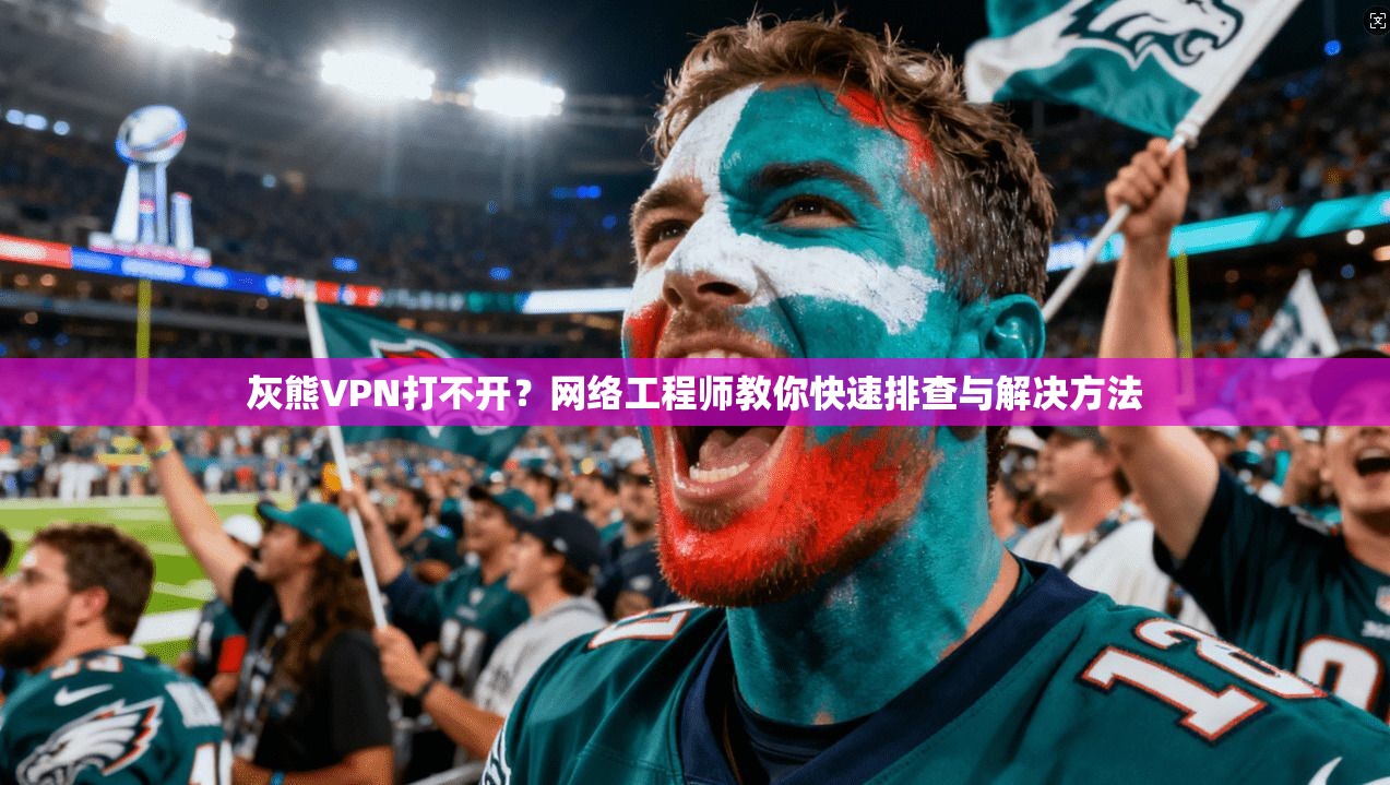 灰熊VPN打不开？网络工程师教你快速排查与解决方法