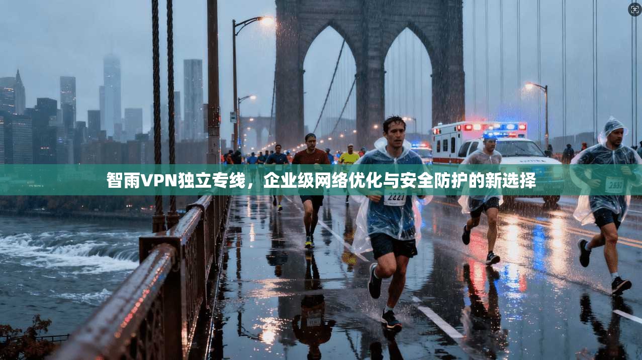 智雨VPN独立专线，企业级网络优化与安全防护的新选择