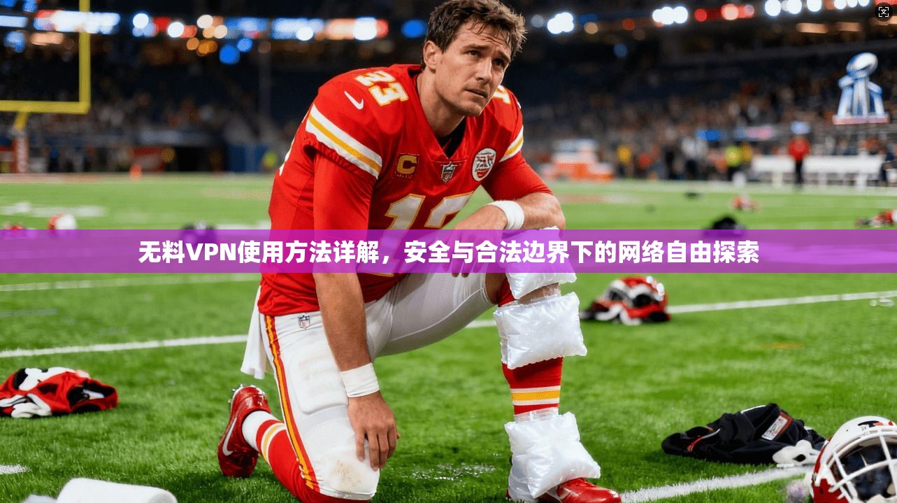 无料VPN使用方法详解，安全与合法边界下的网络自由探索