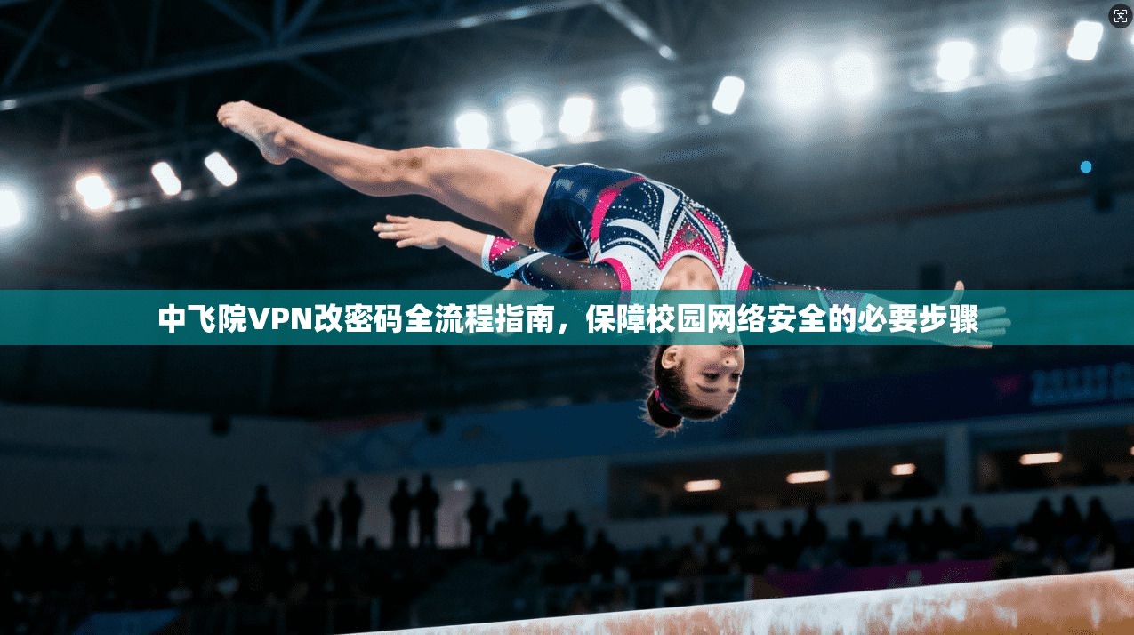 中飞院VPN改密码全流程指南，保障校园网络安全的必要步骤