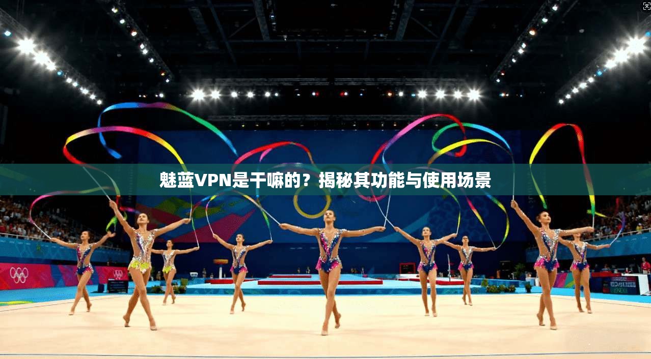 魅蓝VPN是干嘛的？揭秘其功能与使用场景