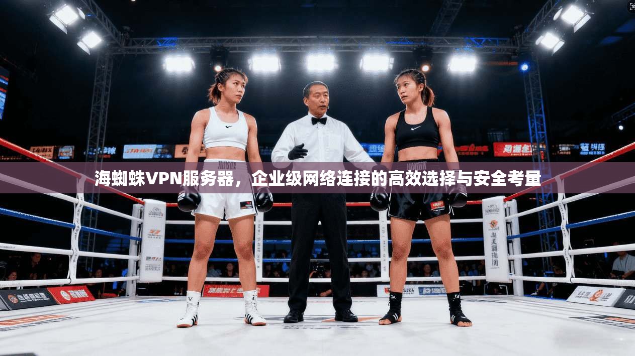 海蜘蛛VPN服务器，企业级网络连接的高效选择与安全考量