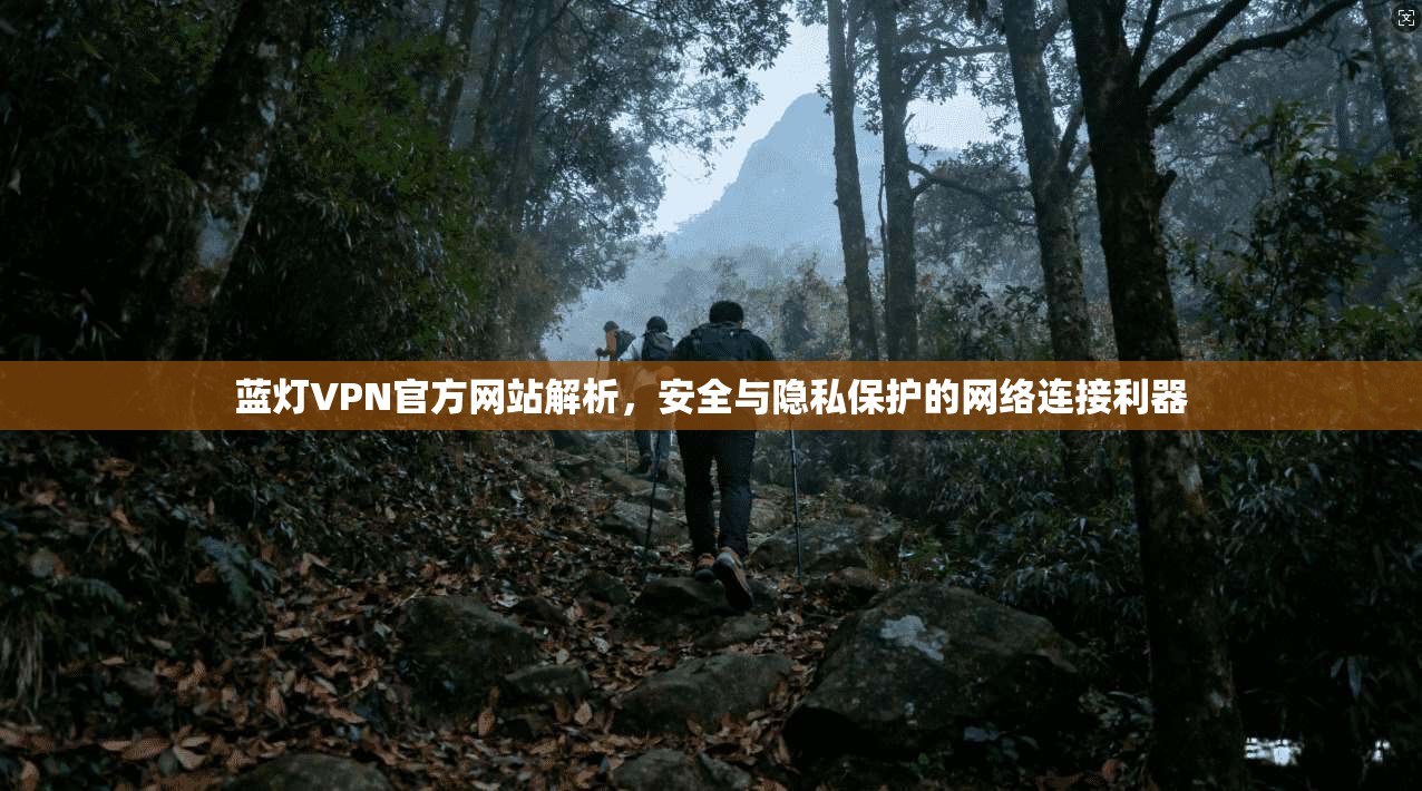 蓝灯VPN官方网站解析，安全与隐私保护的网络连接利器