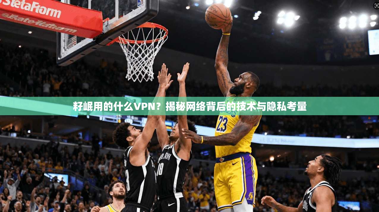 籽岷用的什么VPN？揭秘网络背后的技术与隐私考量
