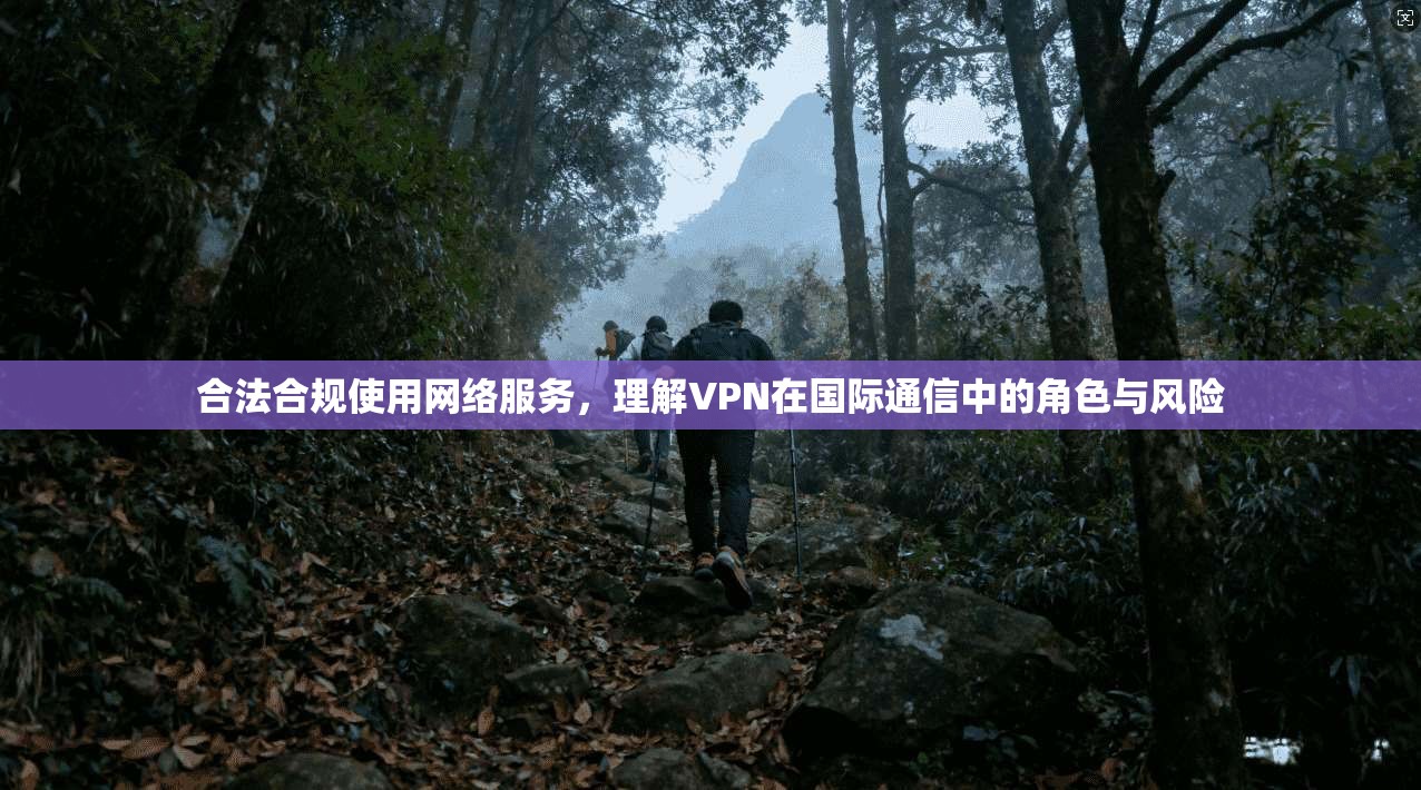 合法合规使用网络服务，理解VPN在国际通信中的角色与风险