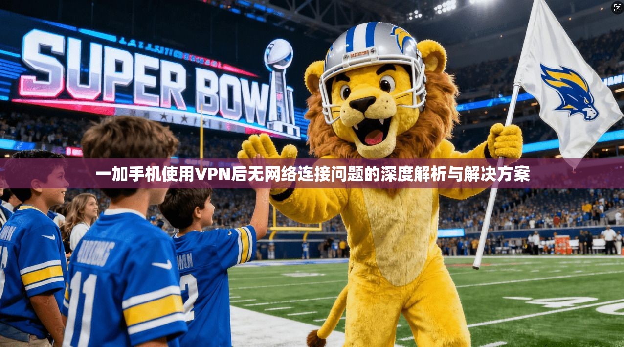 一加手机使用VPN后无网络连接问题的深度解析与解决方案