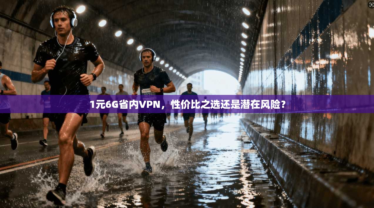 1元6G省内VPN，性价比之选还是潜在风险？