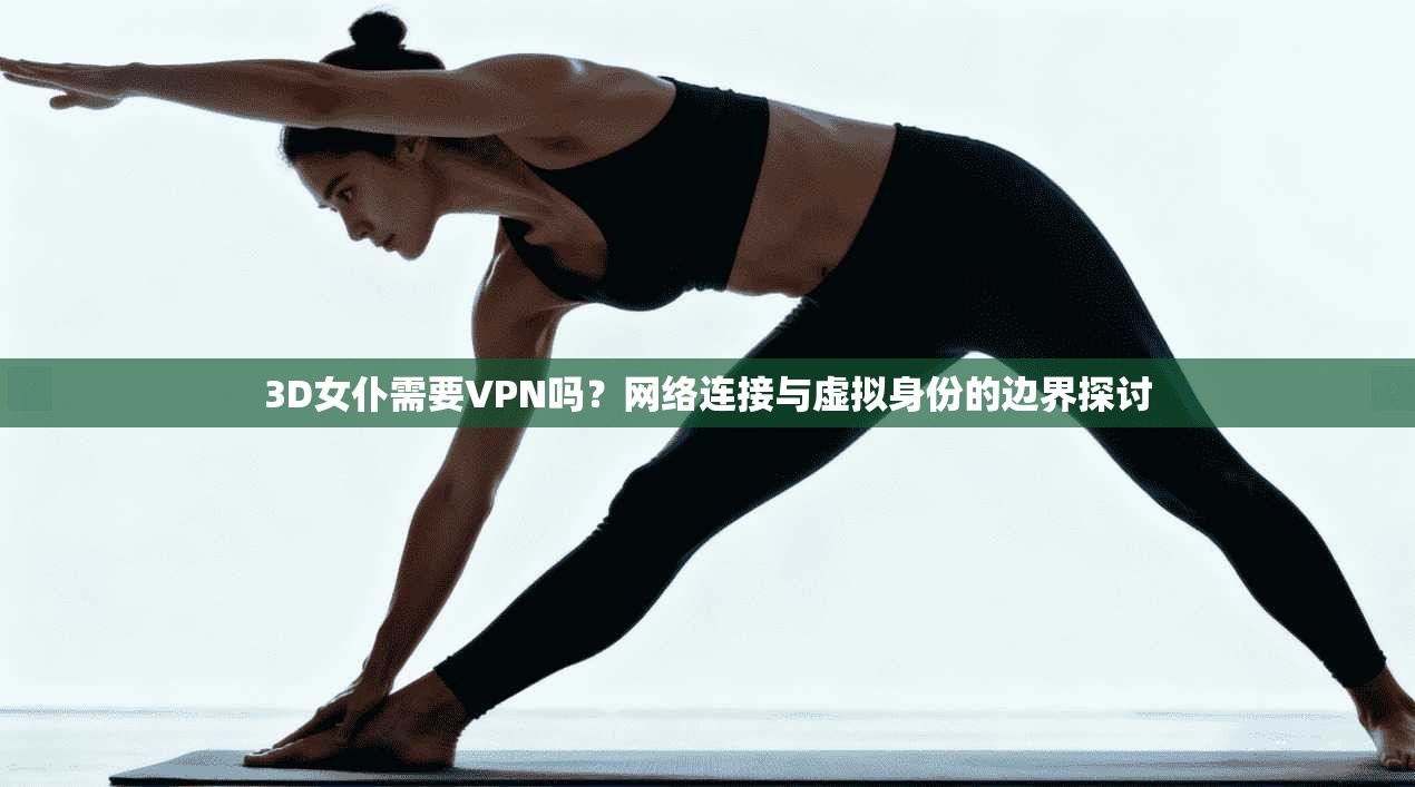 3D女仆需要VPN吗？网络连接与虚拟身份的边界探讨