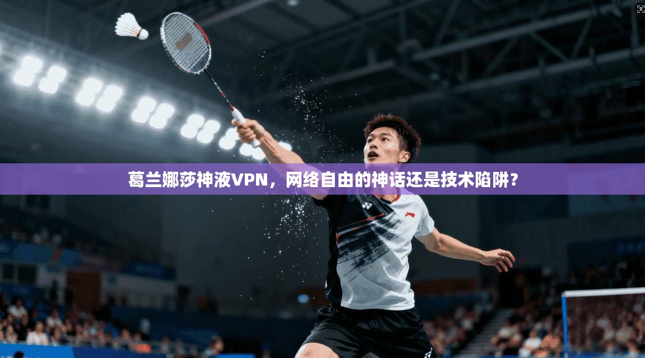葛兰娜莎神液VPN，网络自由的神话还是技术陷阱？