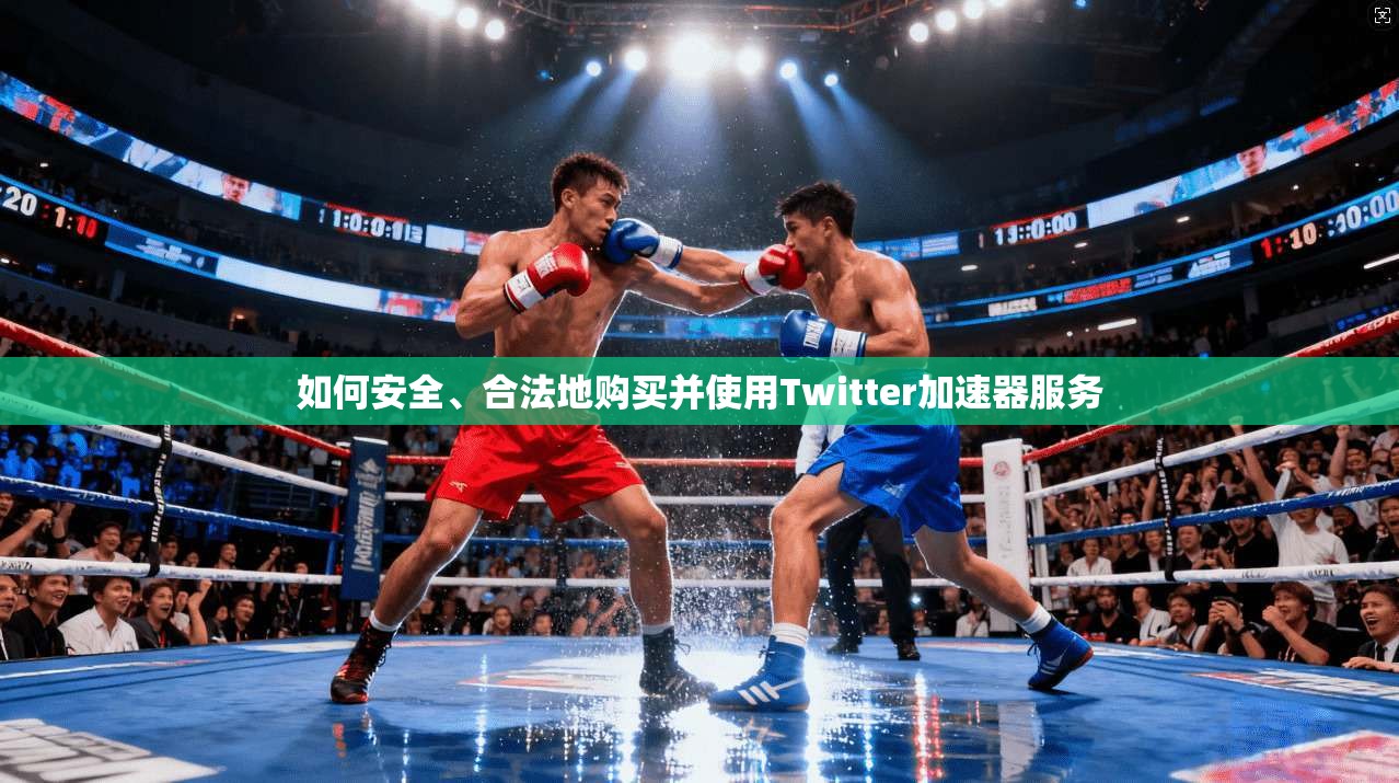 如何安全、合法地购买并使用Twitter加速器服务