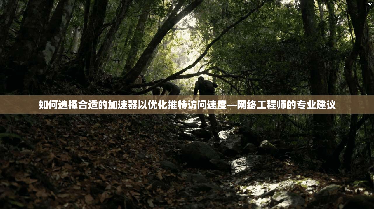 如何选择合适的加速器以优化推特访问速度—网络工程师的专业建议