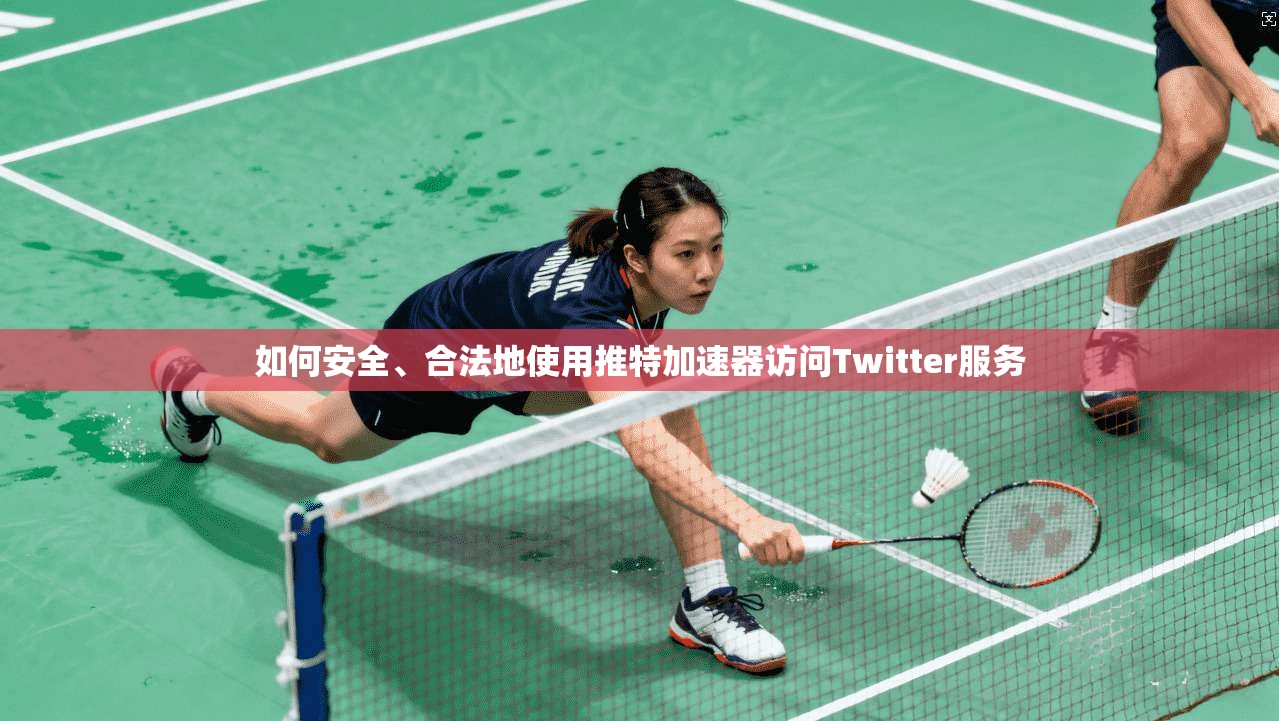 如何安全、合法地使用推特加速器访问Twitter服务